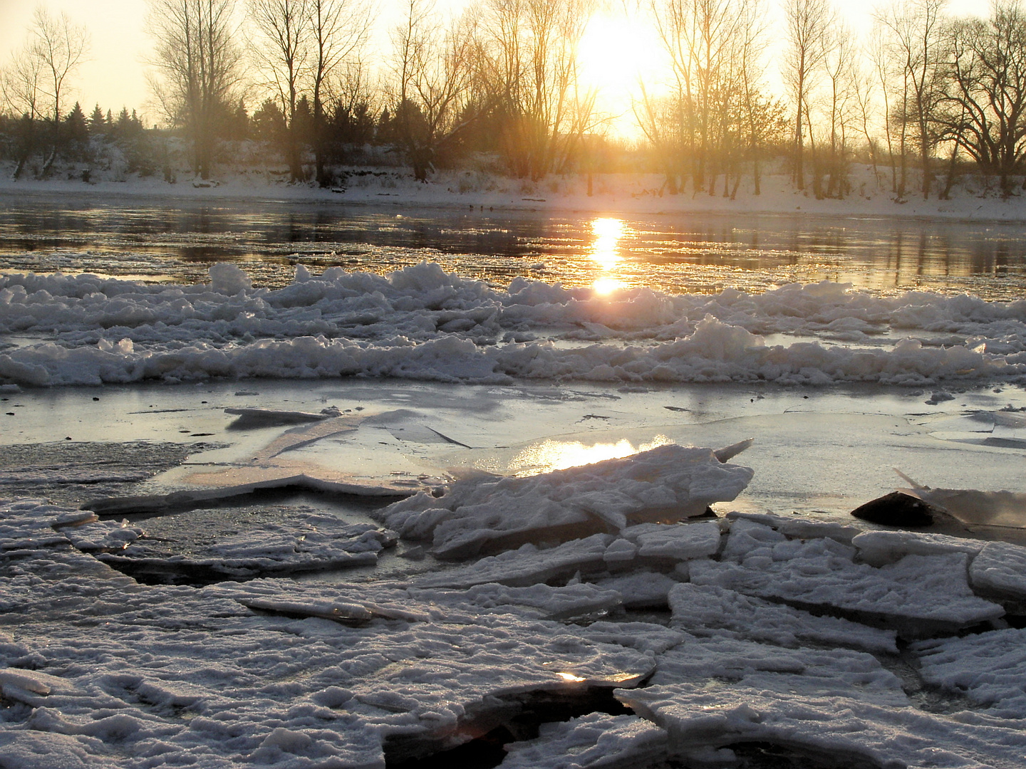 Winter an der Elbe