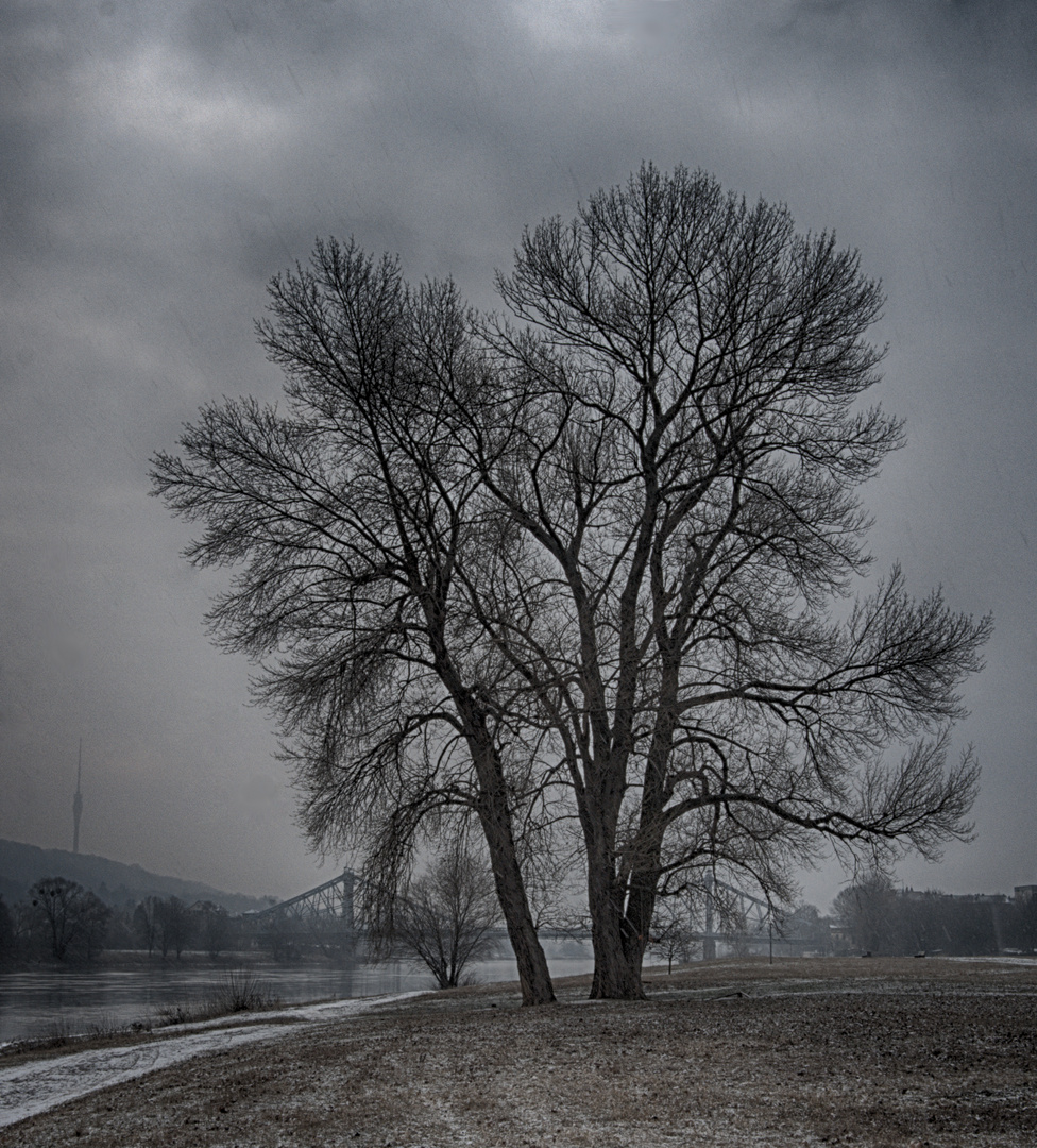 Winter an der Elbe