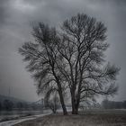 Winter an der Elbe