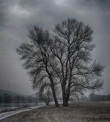 Winter an der Elbe