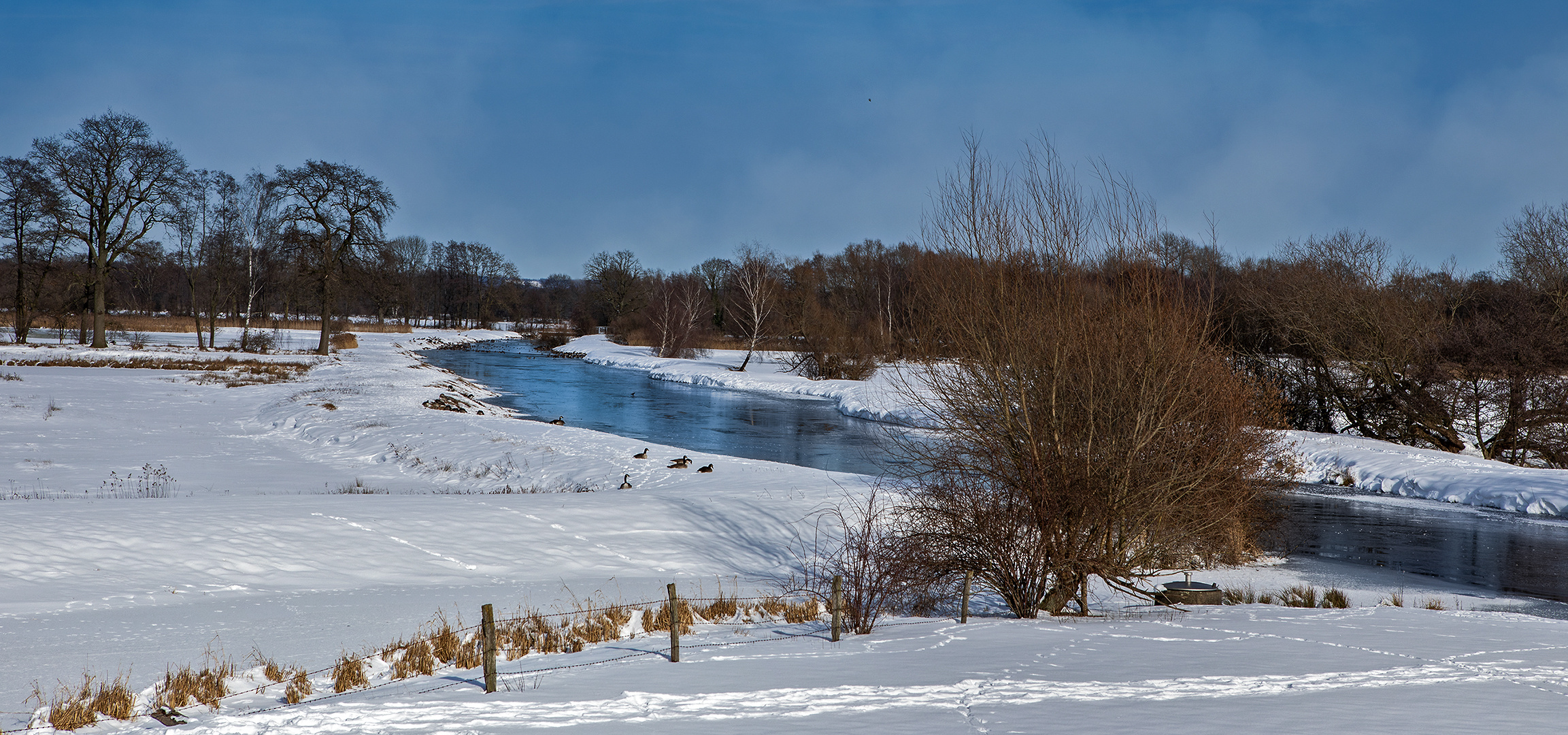 Winter an der Ems 005 