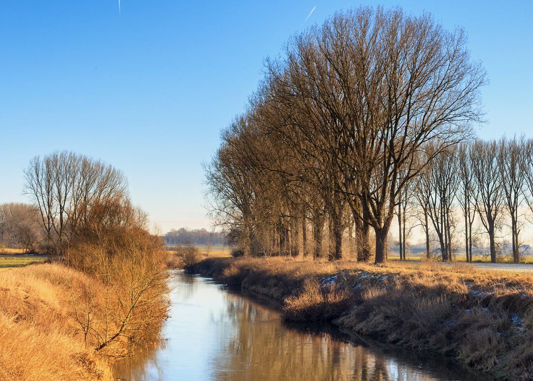 Winter an der Ems