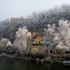 Winter an der Enz 