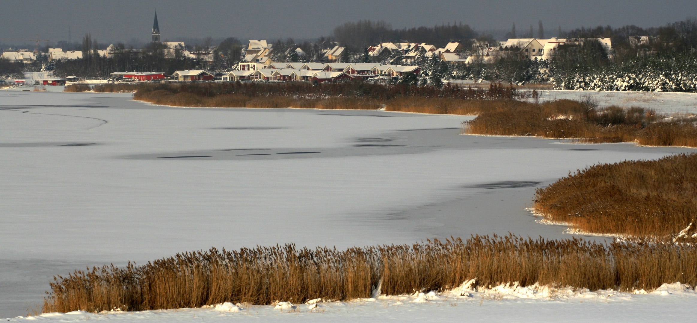 Winter an der Goitzsche