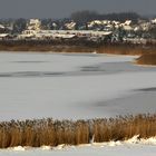 Winter an der Goitzsche