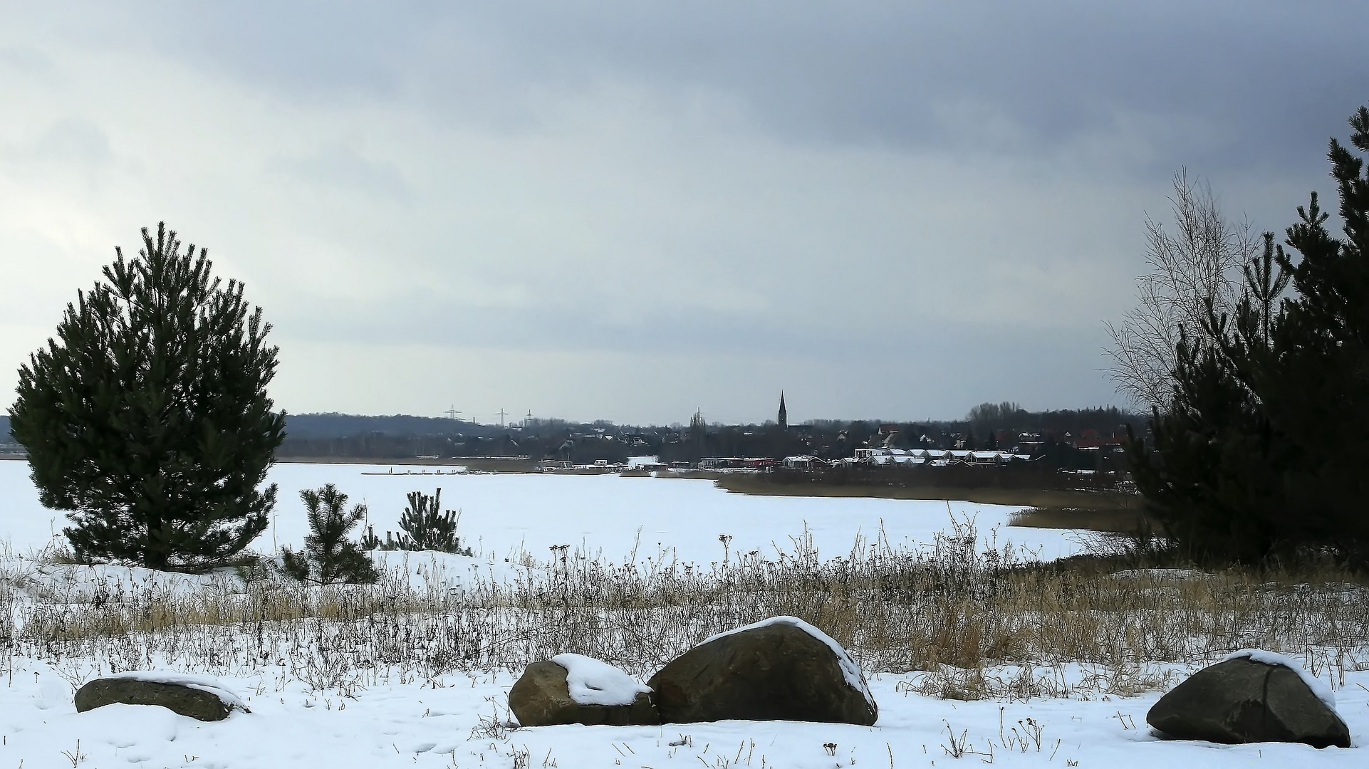 Winter an der Goitzsche