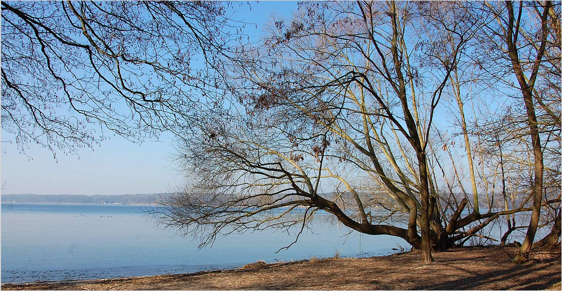 Winter an der Havel 0riginal