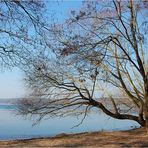 Winter an der Havel 0riginal