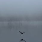 Winter an der Havel