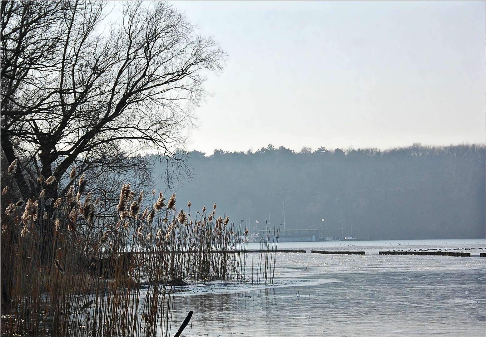 Winter an der Havel