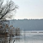 Winter an der Havel