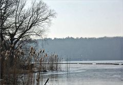 Winter an der Havel