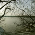 Winter an der Havel