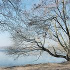 Winter an der Havel