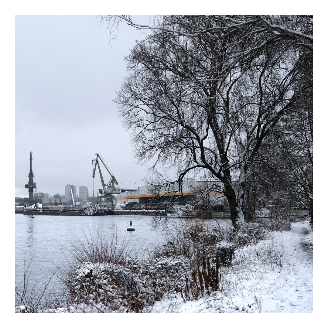 Winter an der Havel III