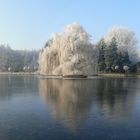 Winter an der Holtmühle