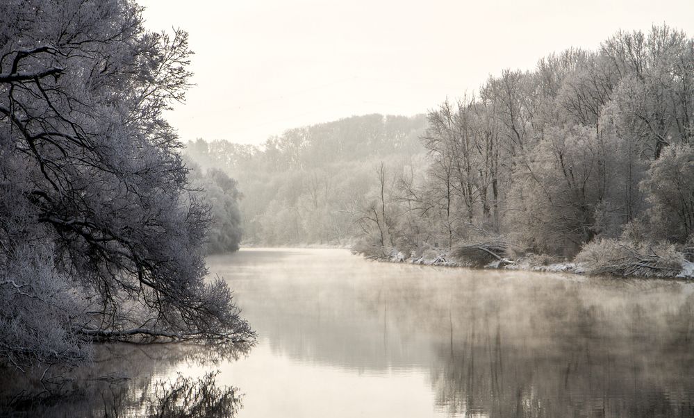 Winter an der Iller (I)