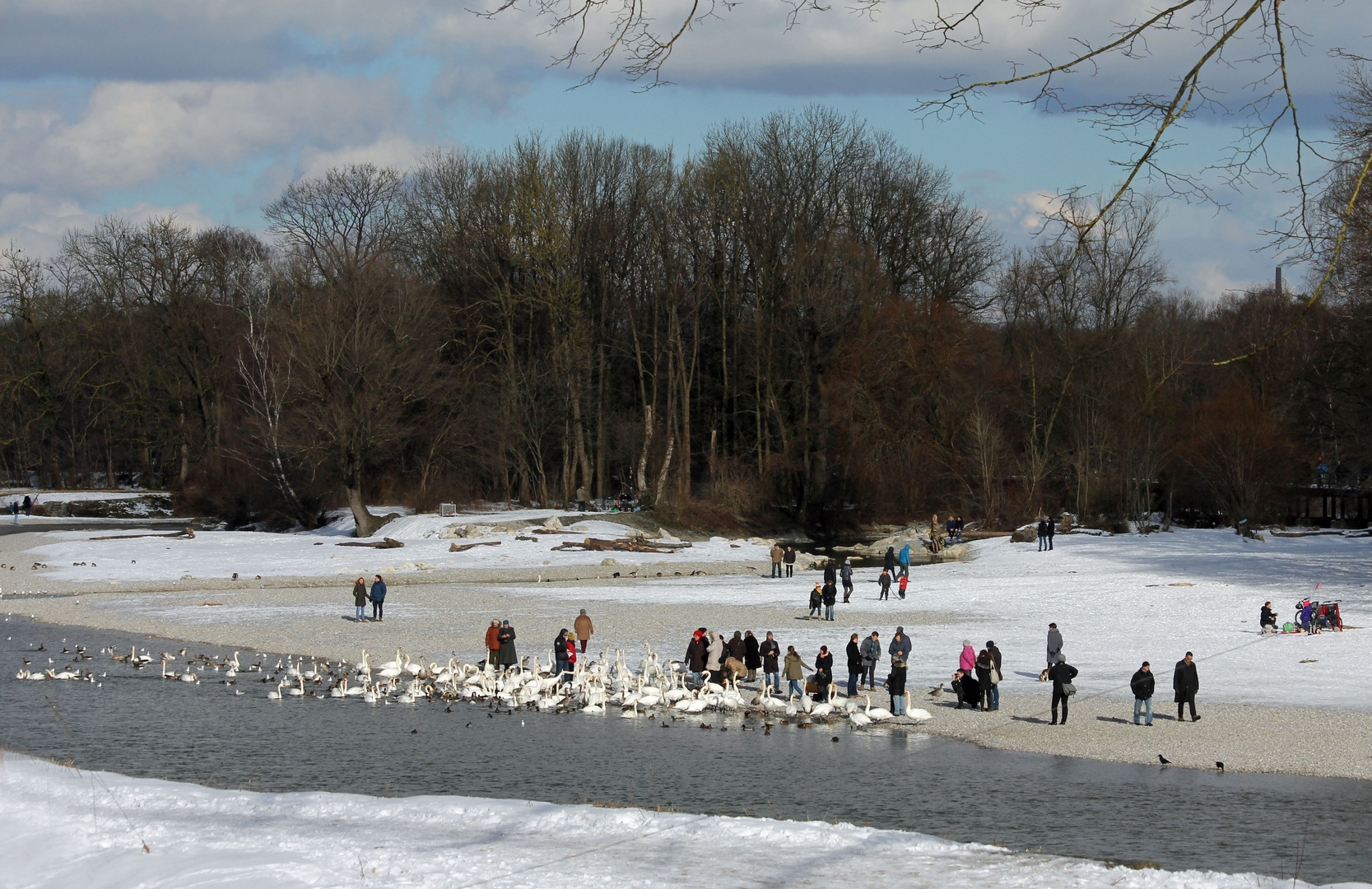 Winter an der Isar 1