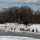 Winter an der Isar 1