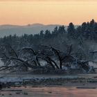 Winter an der Isar (2)