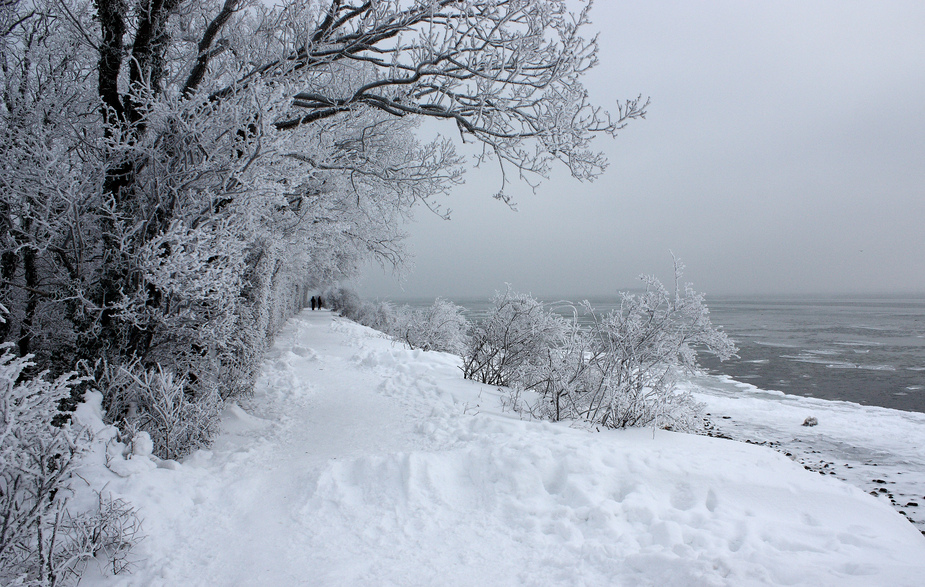 Winter an der Kieler Förde