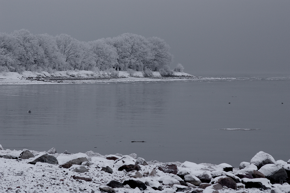 Winter an der Kieler Förde II