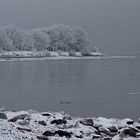 Winter an der Kieler Förde II