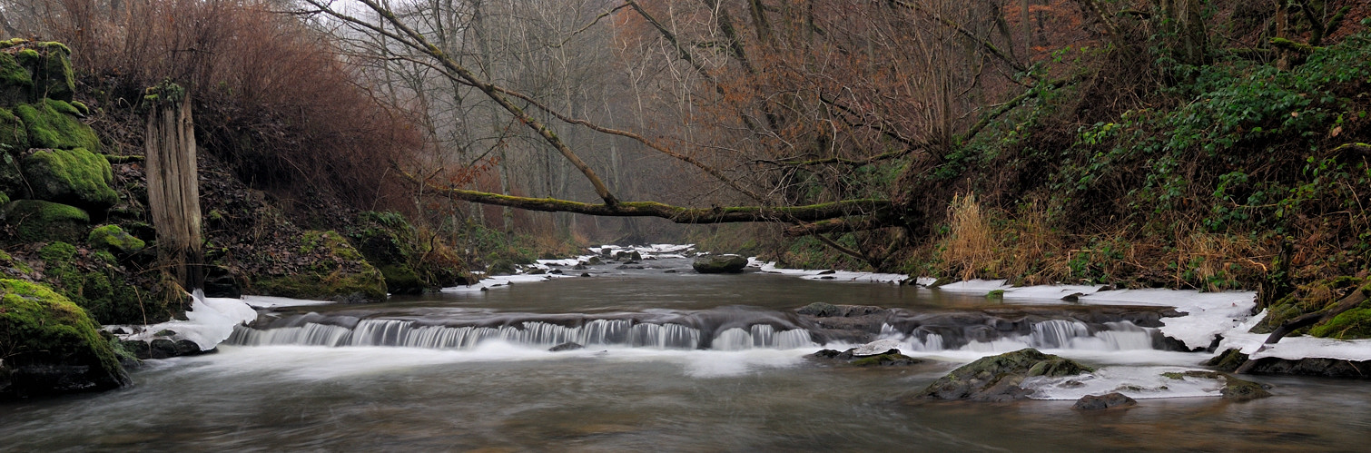 *Winter an der Kleinen Kyll*