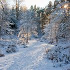 Winter an der Krummen Lake, Grünauer Forst