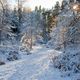 Winter an der Krummen Lake, Grnauer Forst