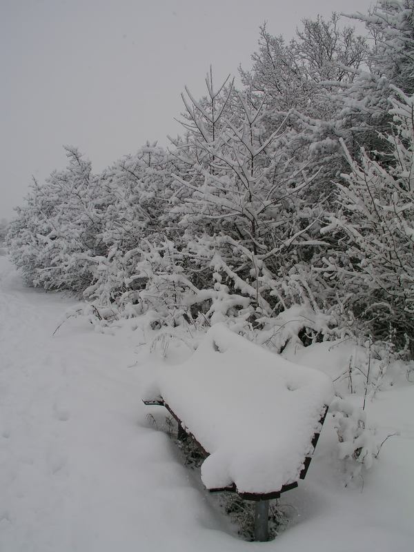 Winter an der Küste