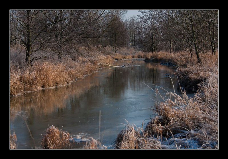 Winter an der Laber