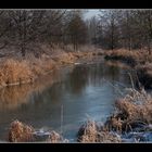 Winter an der Laber