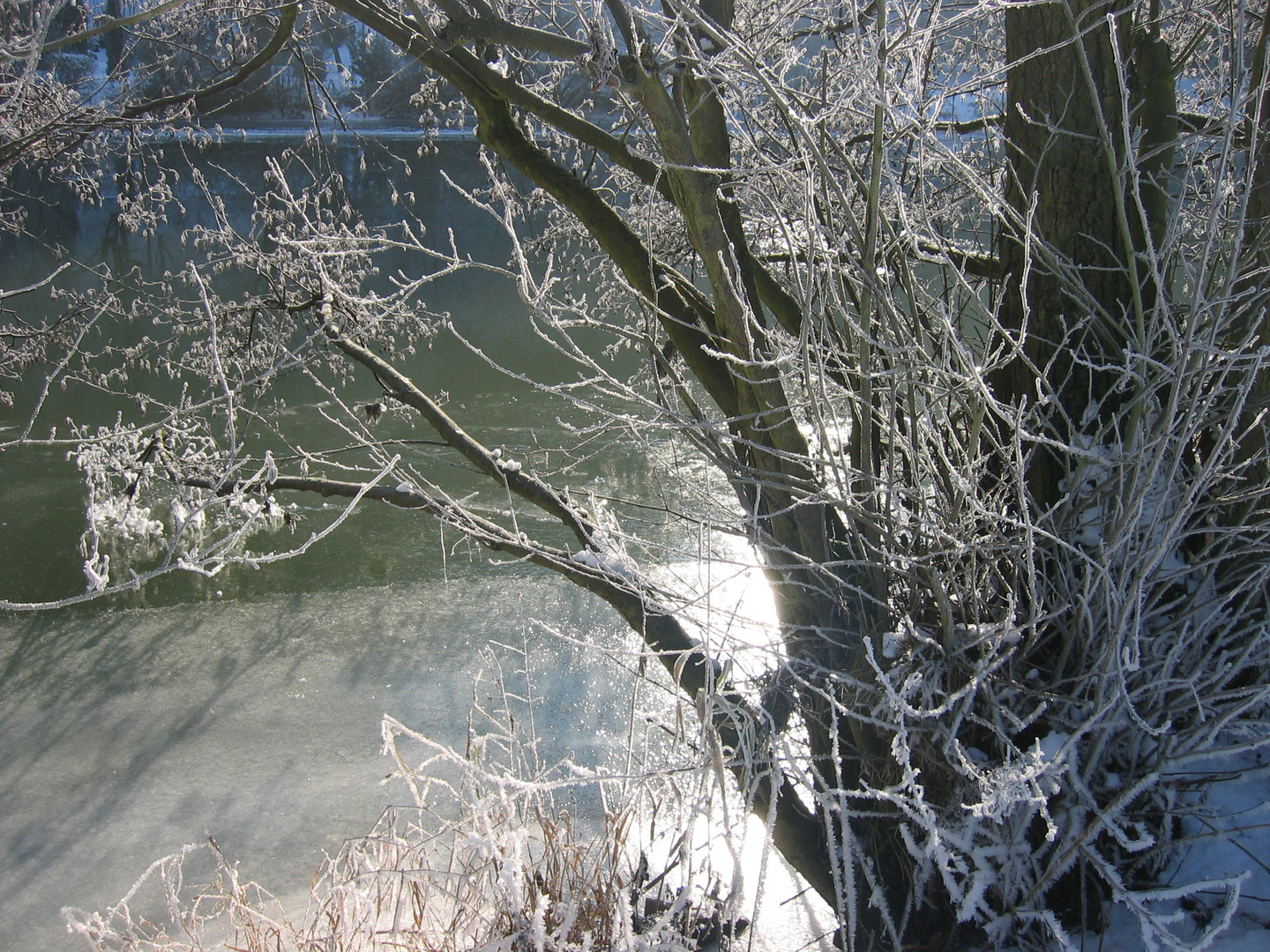 Winter an der Lahn 1