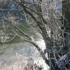 Winter an der Lahn 1