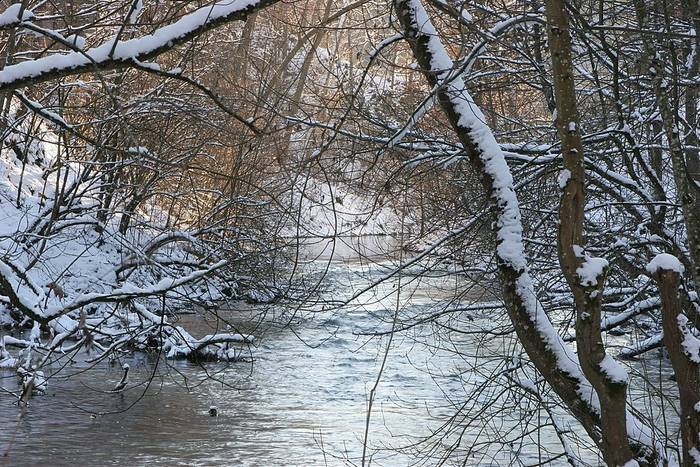 Winter an der Lauchert 5