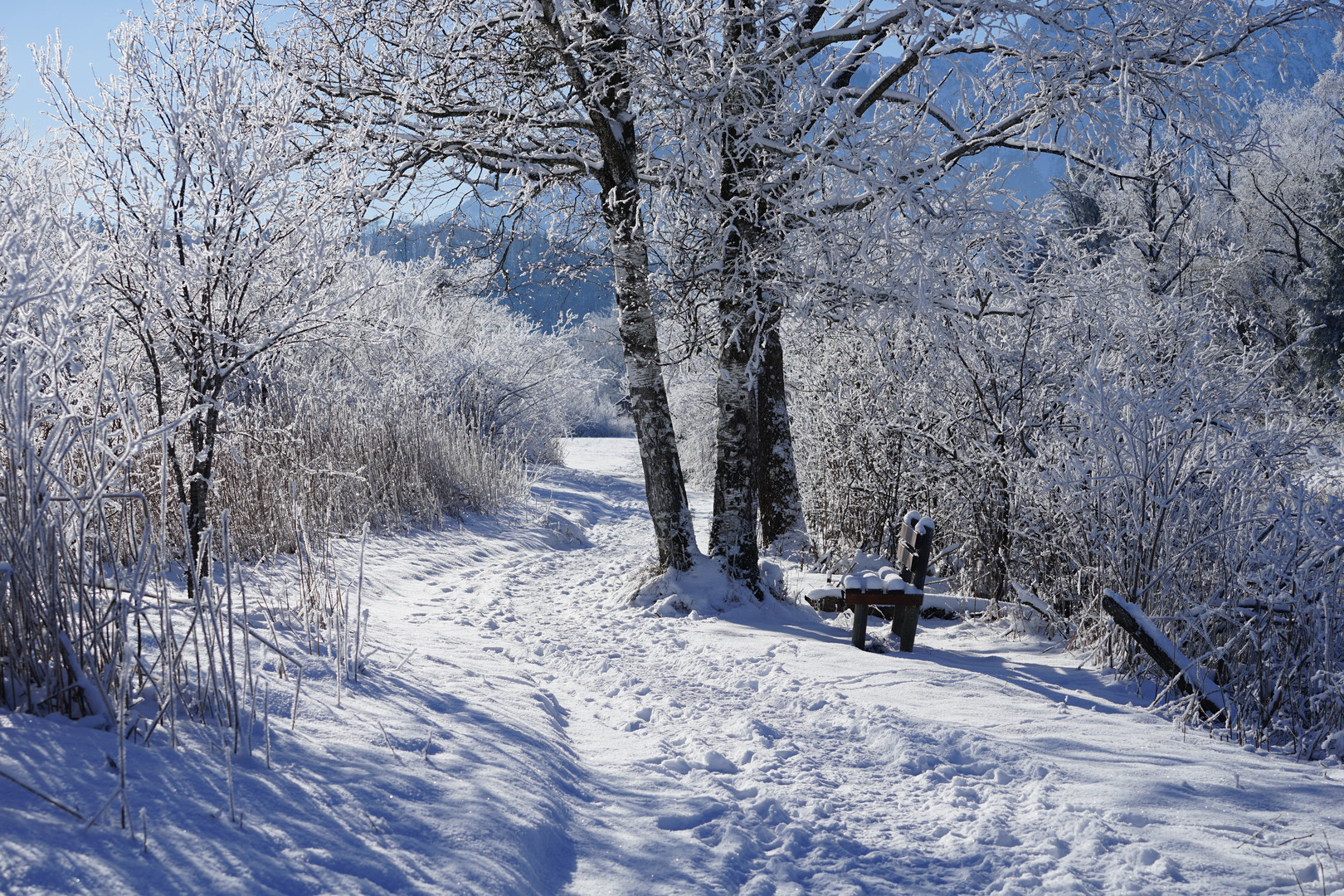 Winter an der Loisach