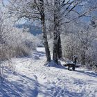 Winter an der Loisach