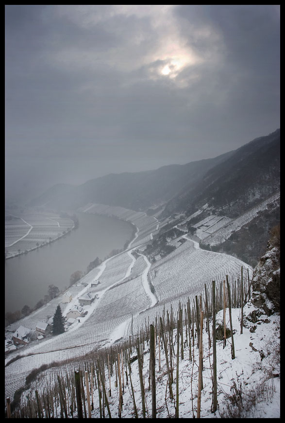 Winter an der Mosel