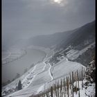 Winter an der Mosel