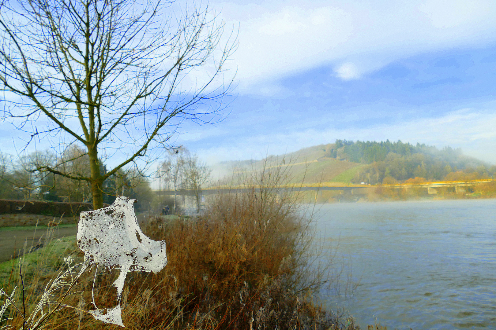 °°°° Winter an der Mosel °°°°