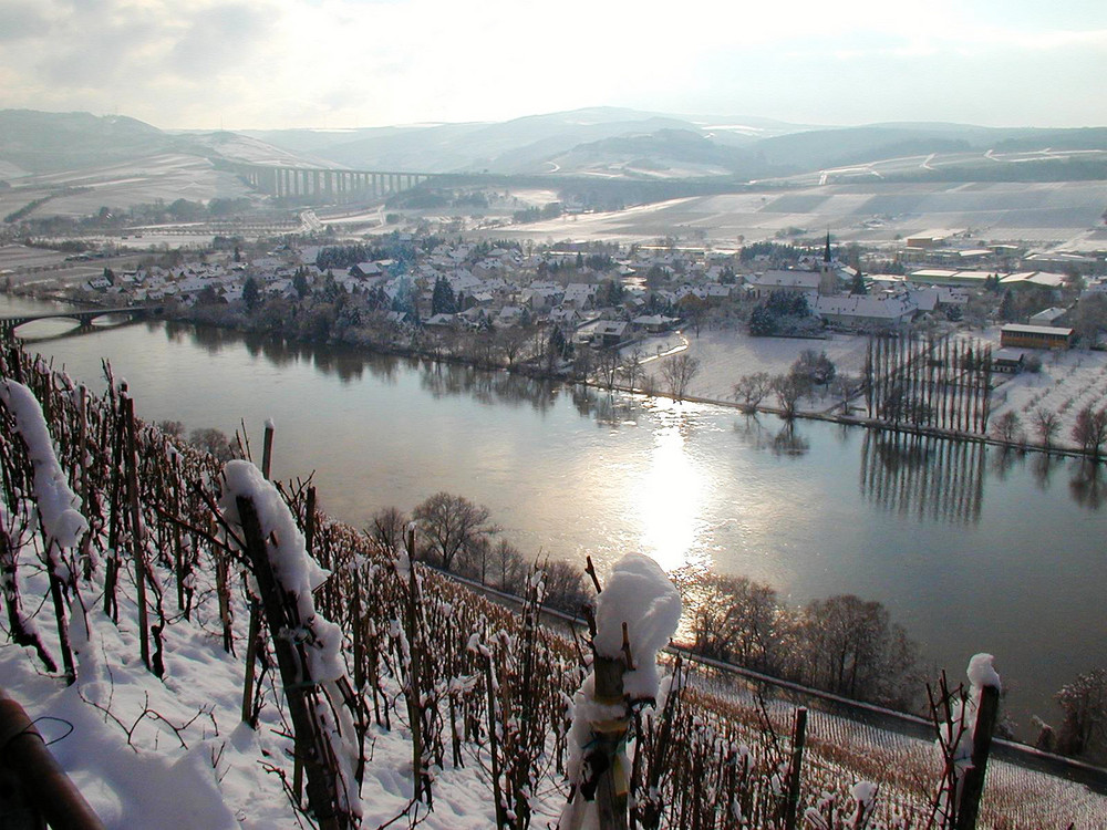 Winter an der Mosel