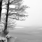 Winter an der Müritz 2