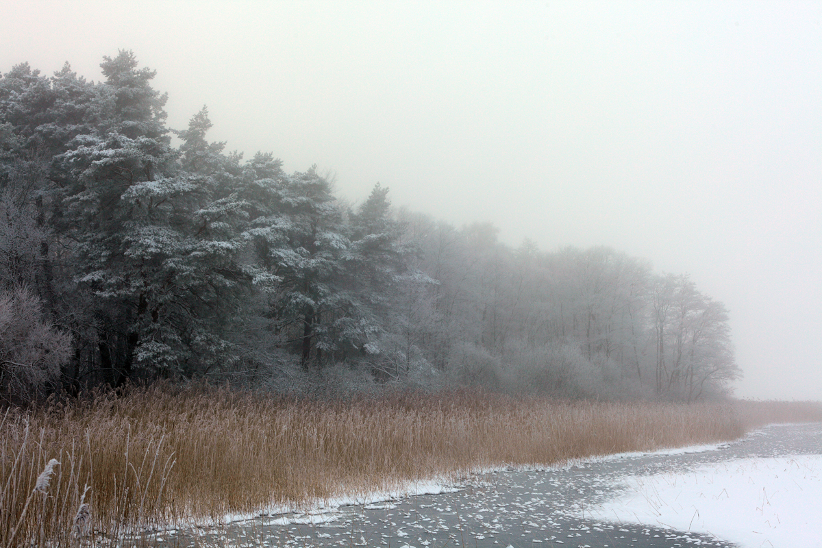 Winter an der Müritz 3