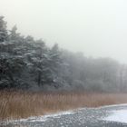 Winter an der Müritz 3