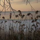 Winter an der Müritz