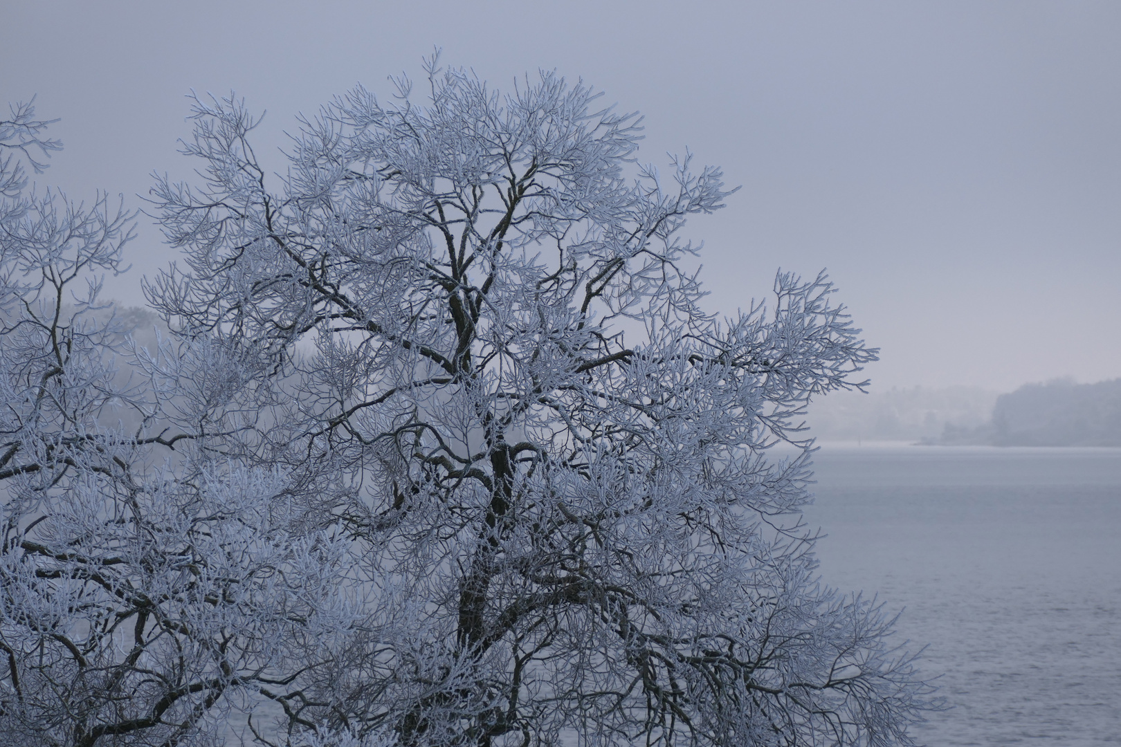 Winter an der Müritz