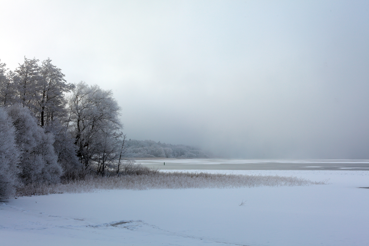 Winter an der Müritz