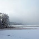 Winter an der Müritz