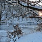 Winter an der Mulde